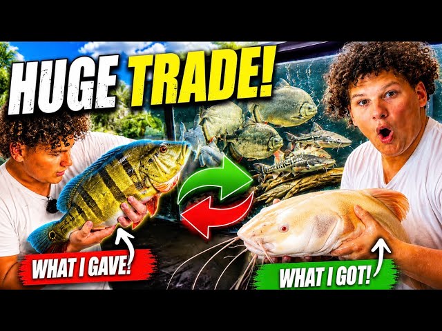 I Traded My RARE Fish For These MONSTERS!