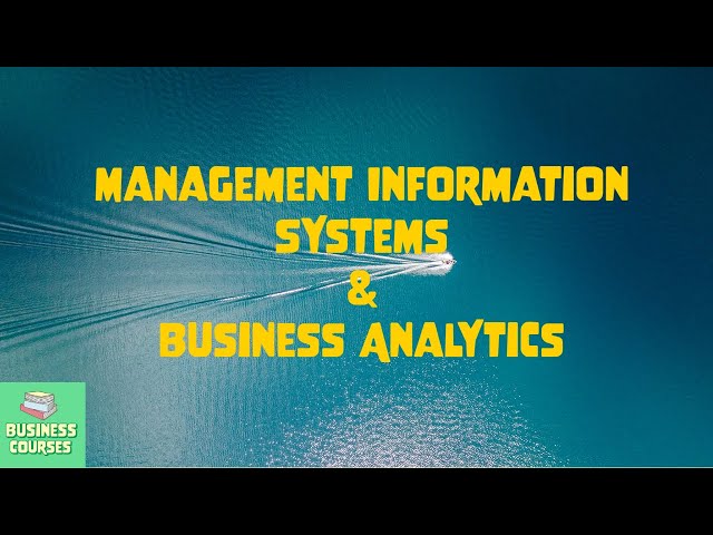 What exactly are MIS and Business Analytics?