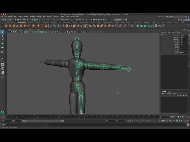 Manual Rigging Part 1 (Creating Joints)