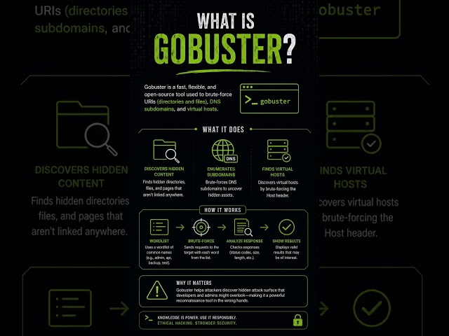What Is Directory Enumeration? | Gobuster Explained