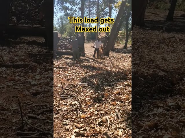 5 Acre Clean up slash Pile pick up. #branches #propertycleanup #paradiseca #campfire #cleanup