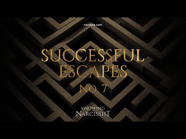 Successful Escapes : 7