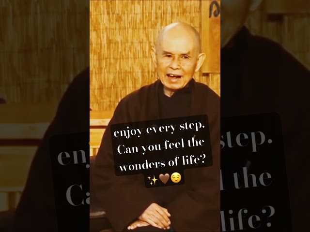 walking with your whole being - living life deeply with every step #zen #thichnhathanh #meditation