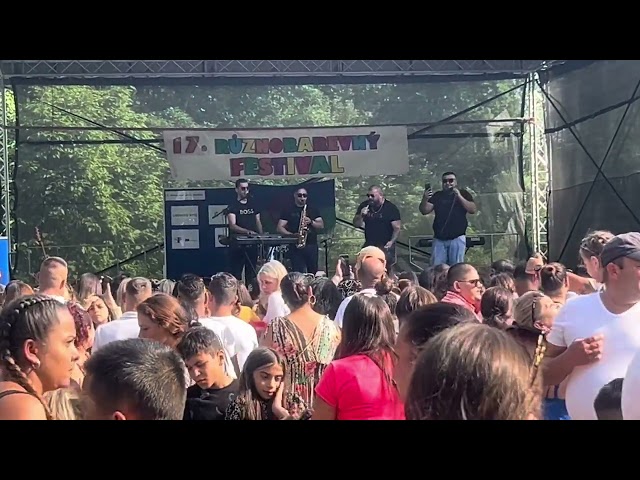 🔥SIMPLE-BAND🔥 Festival 2024🔥