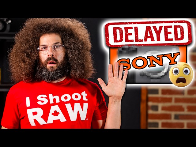 SONY DELAYS CAMERA!!! Nikon Z70?