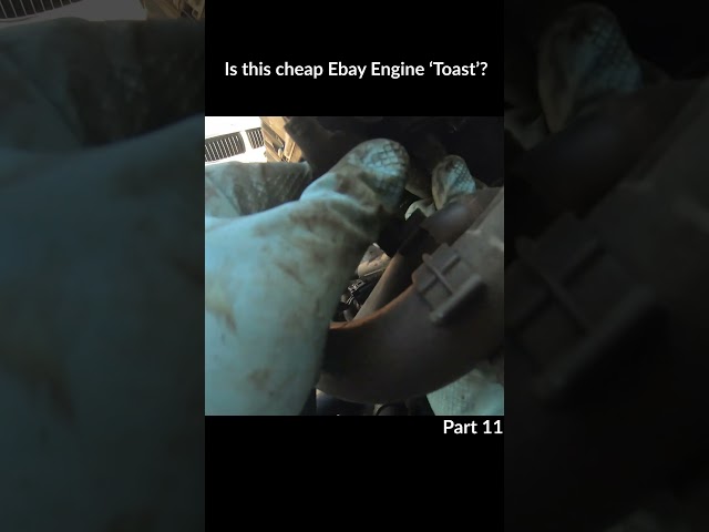 Bought the cheapest BMW N52 engine on ebay. Did I get scammed? #bmwengine #bmwn52