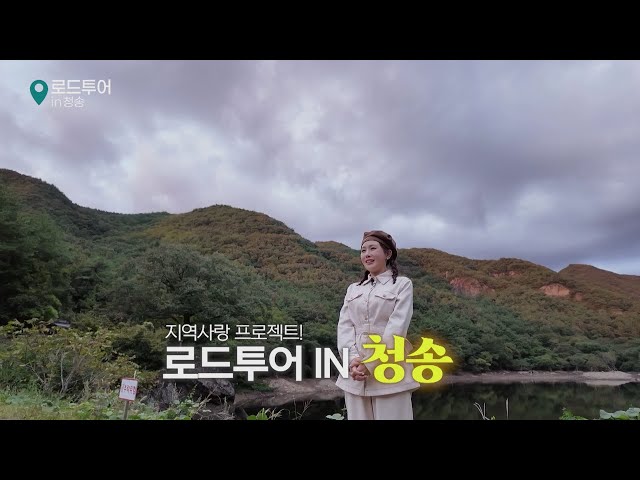 Road Tour in Cheongsong l Local Love Project l 20251025 l Andong MBC