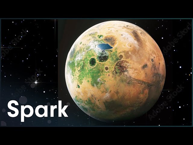 Are There Other Planets In The Solar System That Could Sustain Life? | Spark
