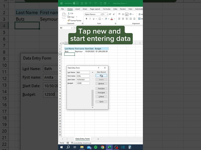 Data Entry Form in Excel‼️ #excel