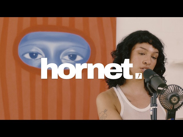HORNET: stems. Acoustic Performance