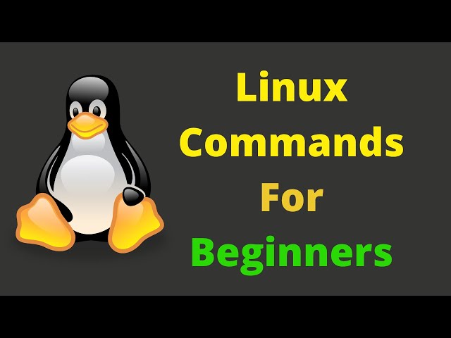 Top 7 Important Linux Commands for Beginners Every Linux User Should Know