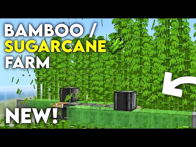 SUGARCANE and BAMBOO Farm for Minecraft Bedrock MCPE 1.21/26.33!