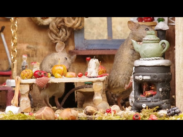 Mouse tidying the shed