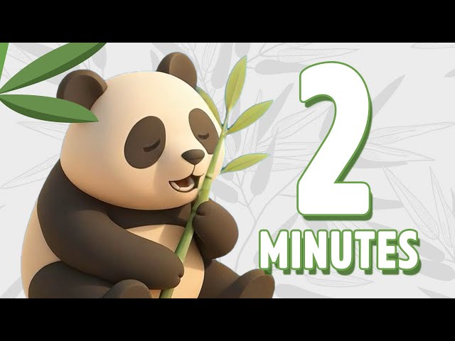 2 Minute Panda Timer with relaxing music