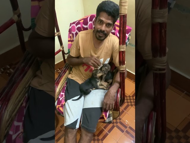 அப்பா மடில யார் உக்காரணும் 2 குட்டி களோட சண்டை ஆரம்பம் #shorts