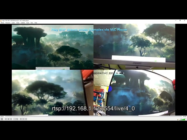 Video Tutorial of SS50 Codec Series