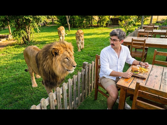 I Tried America's Wildest Restaurants