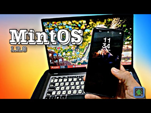How to install MintOS 1.2.0 on the S20 FE