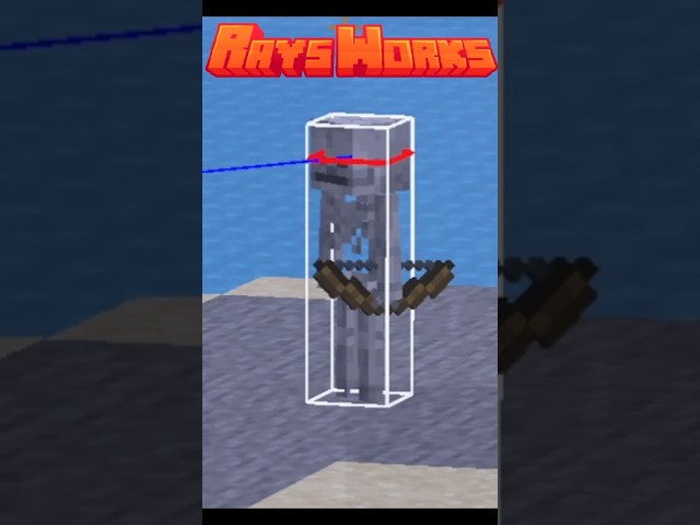 Minecraft's Invisible Tag
