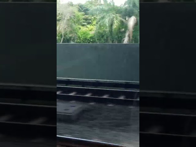 Star Guitar (Miami Train): The Chemical Brothers 🎸 🚂
