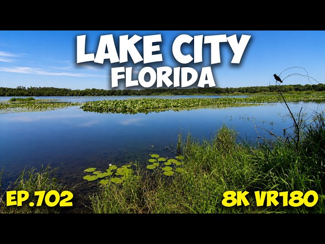 Through the Swamp: Alligator Lake Boardwalk Experience ep.702 #8k #vr180 #3d #travel #fl