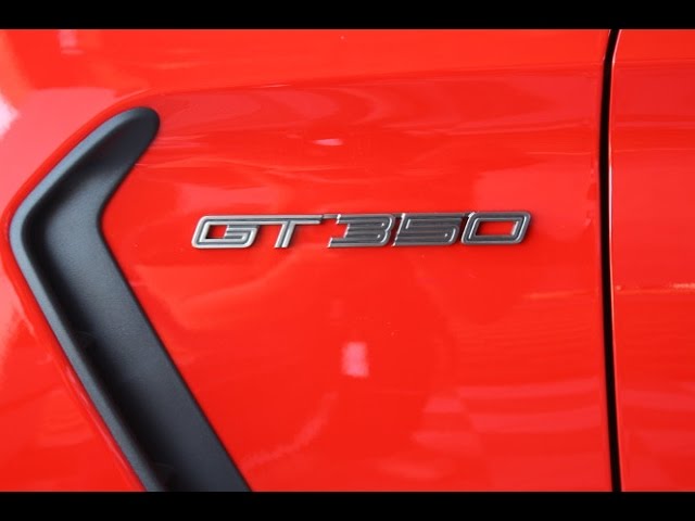 Ford Shelby Mustang GT350R - Perception VS Reality