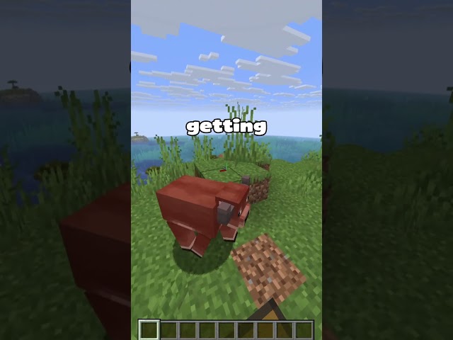 Minecraft Have Finally Added Vulkan To Vanilla (EXTRA FPS)