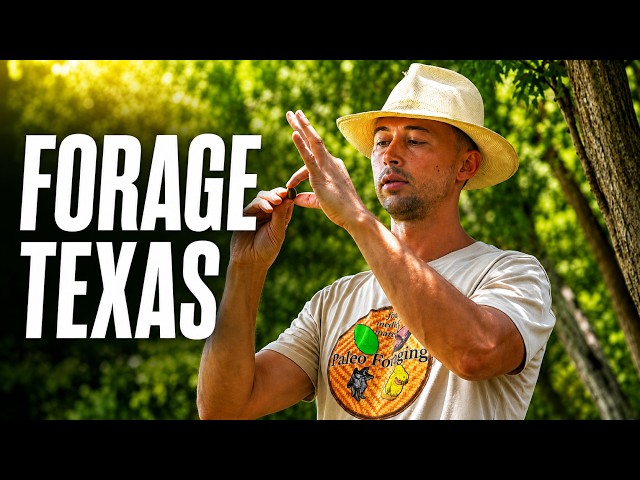 Food is everywhere in Texas