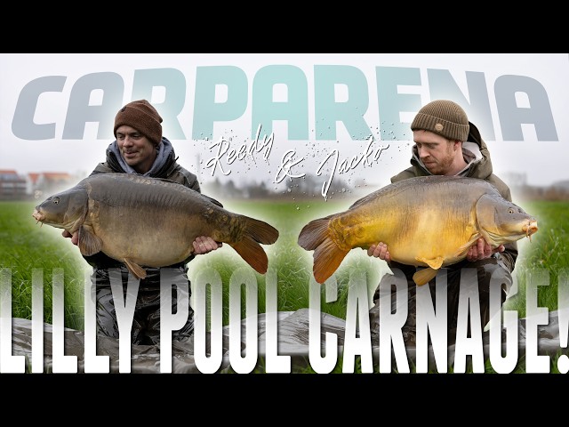 CARNAGE AT CARP ARENA | Korda's Reedy and Jacko go Carp Fishing in Belgium! (RAW VLOG)