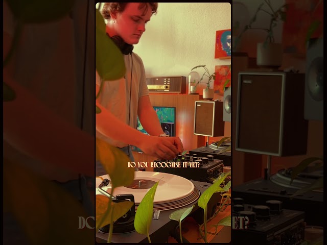 Would Avicii approve of this mix?