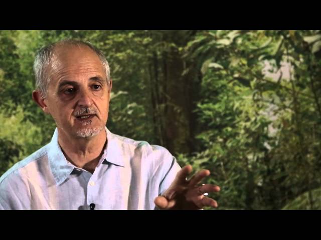 CIFOR’s Robert Nasi on Sentinel Landscapes