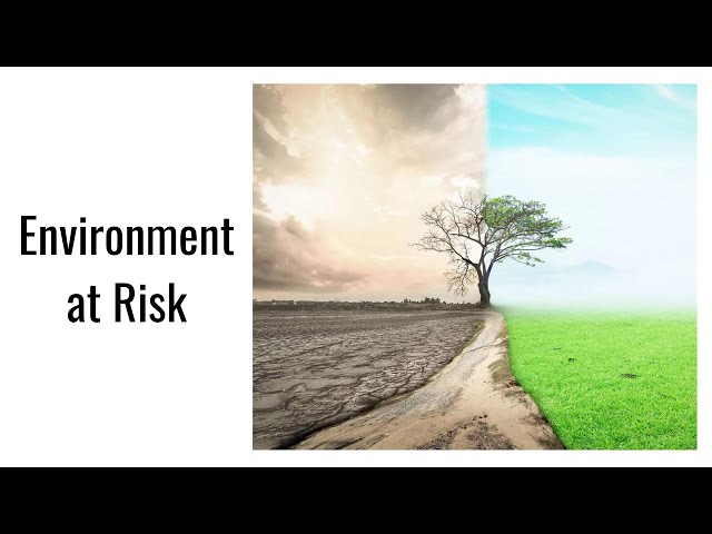 The Environment at Risk