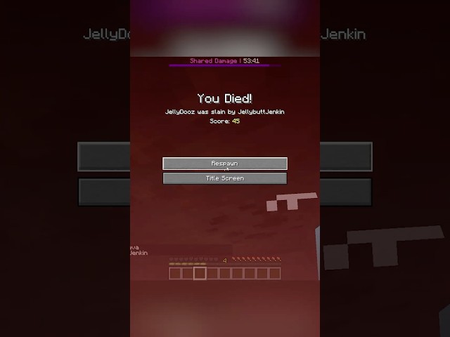 We Share Each Others Damage In Minecraft