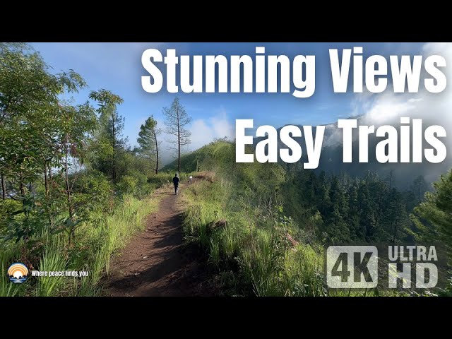 Hiking at Java's 1894mdpl Mountain: Stunning Views & Easy Trails ⛰️ [4K] #nature #hiking #asmr