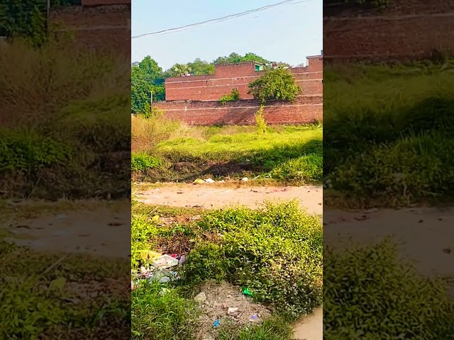 a morning in my life 🌄 #nature #dhonivermaiitm #shortsfeed #ytshorts #shorts