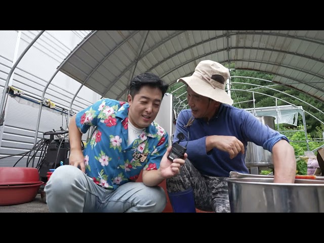 The Season of Green Grapes, Meeting Lee Yuk-sa / Andong MBC Nationwide Era