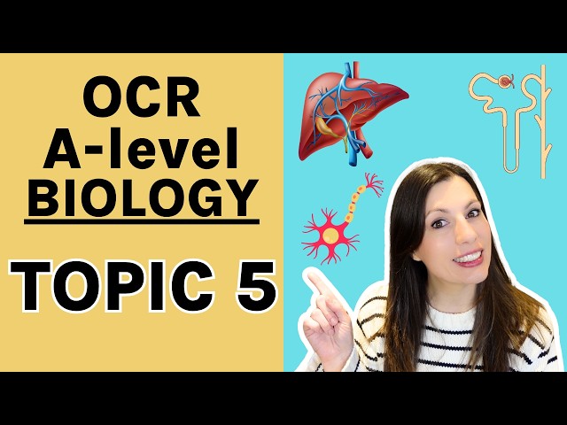 Module 5 OCR A-level Biology: Nervous and hormonal response | Responses| Respiration | & More