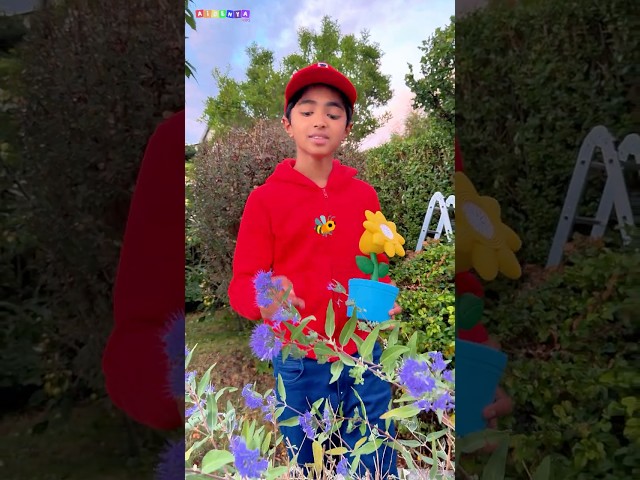 Kids Learn Why Bees Help Flowers 🐝🌸