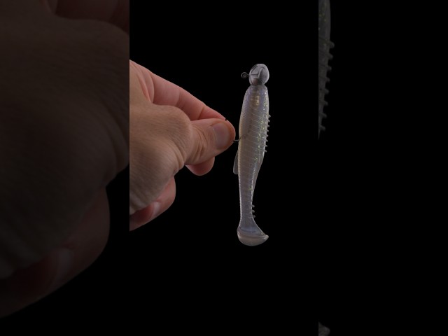 A Swimbait and Jighead Match Made in Heaven