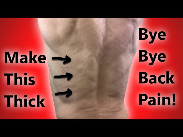 Erector Spinae Exercises: The Ultimate Guide to a Stronger Back