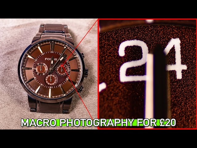 Cheap Macro Photography Setup £20 | Beginner