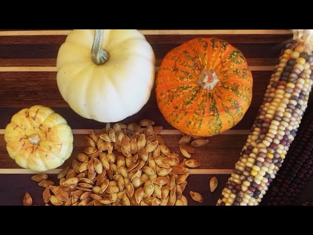 Roasted Pumpkin Seeds | EASY Recipe