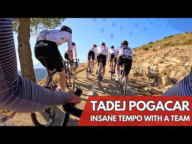 These guys are too FAST | UAE Team climbing Col de Rates