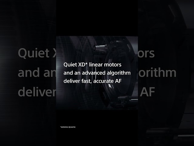 Sony Lenses Autofocus: Fast, Precise, and Ready for Any Moment | Sony | Alpha #shorts