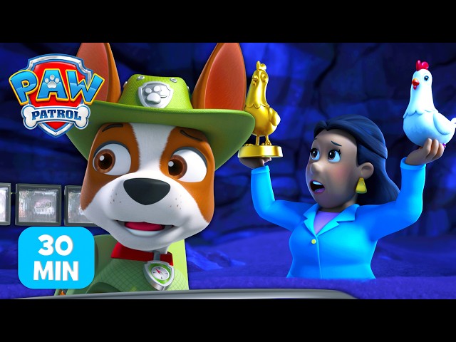 Treibsand-Rettung! Tracker rettet die Bürgermeisterin! | PAW Patrol Auf Deutsch