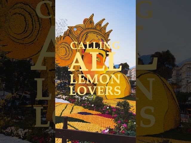 Learn about the LEMON FESTIVAL on the FRENCH RIVIERA #lemon #menton