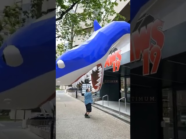 Back to the future AR Shark