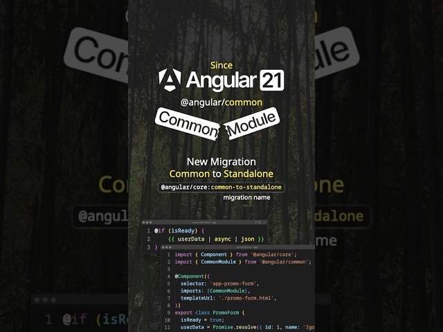 New in Angular 21: Common to Standalone Migration #angular #angular21