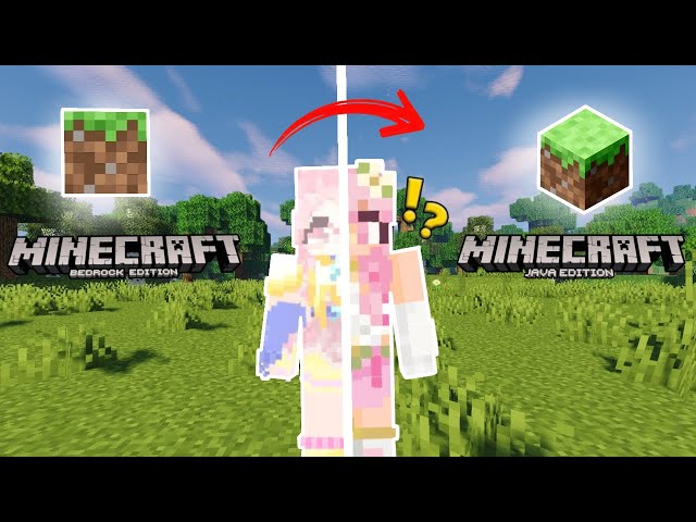 Minecraft Bedrock Player Tries Java Edition For The FIRST TIME!?!