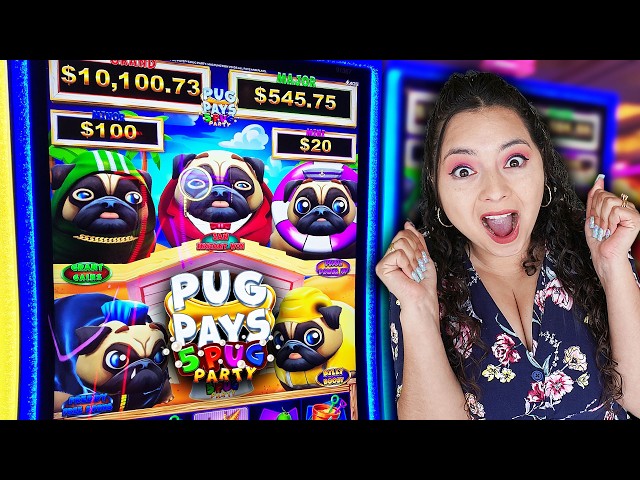 Will This Pug PAY?! - Lucky Or Sucky